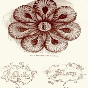THE LADY’S ALBUM OF FANCY WORK for 1850