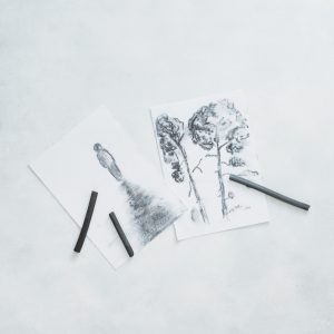 The Practice and Science of Drawing