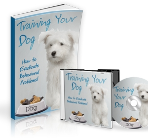 Training Your Dog